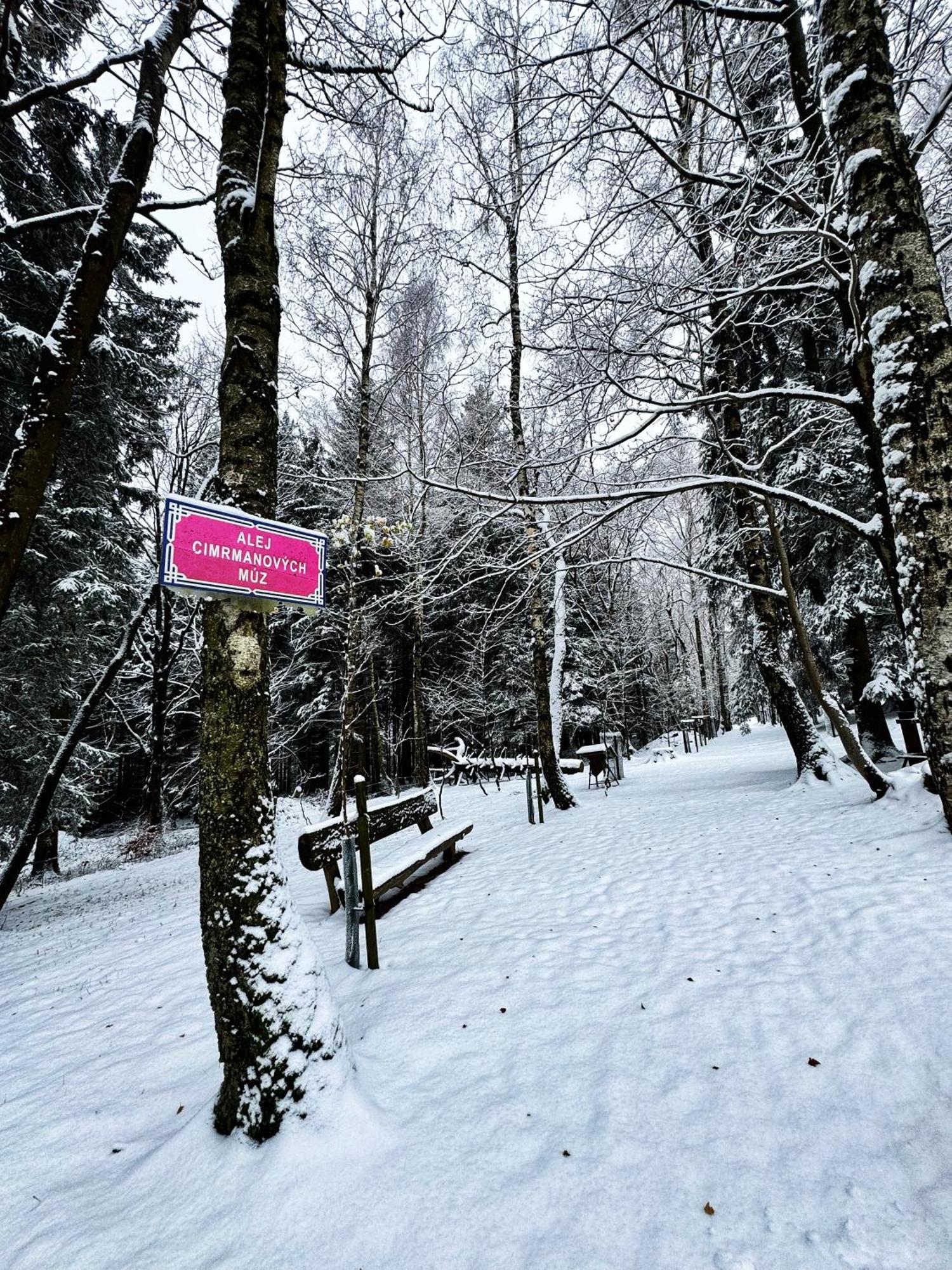 Apartman Vista Rokytnice Rokytnice nad Jizerou Exterior foto